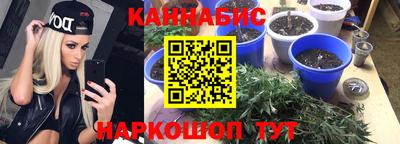 крисы Малоярославец